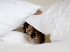 社交恐惧不敢开口 襄阳青少年个人成长咨询的社