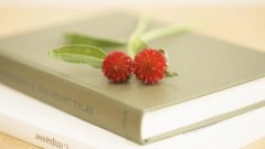 襄阳学龄前期儿童心理咨询：如何平衡支持与负